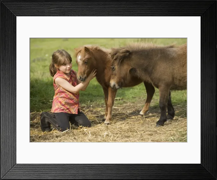 Framed Print : Picture No. 10771592 Framed Print : Picture No. 10771592