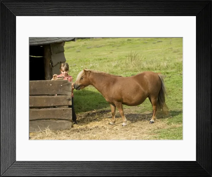 Framed Print : Picture No. 10771591 Framed Print : Picture No. 10771591