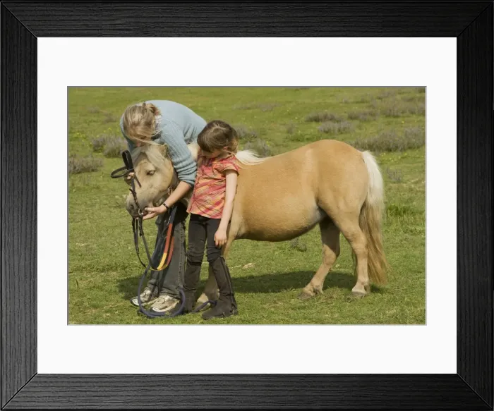 Framed Print : Picture No. 10771595 Framed Print : Picture No. 10771595