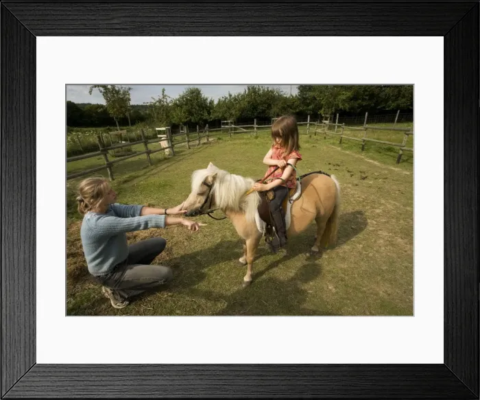 Framed Print : Picture No. 10771599 Framed Print : Picture No. 10771599