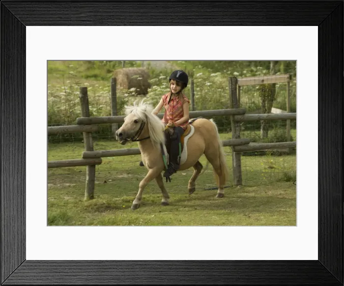 Framed Print : Picture No. 10771600 Framed Print : Picture No. 10771600