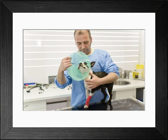 Framed Print : Picture No. 10771637 Framed Print : Picture No. 10771637