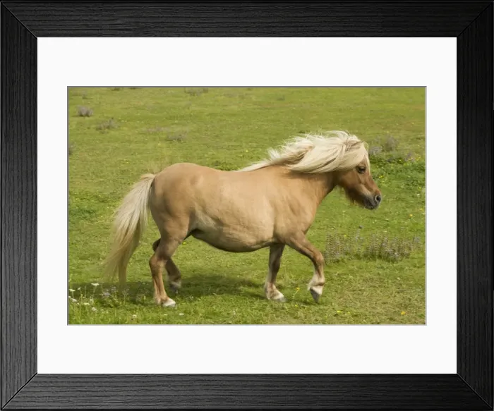 Framed Print : Picture No. 10771597 Framed Print : Picture No. 10771597