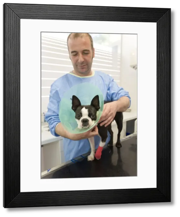 Framed Print : Picture No. 10771638 Framed Print : Picture No. 10771638