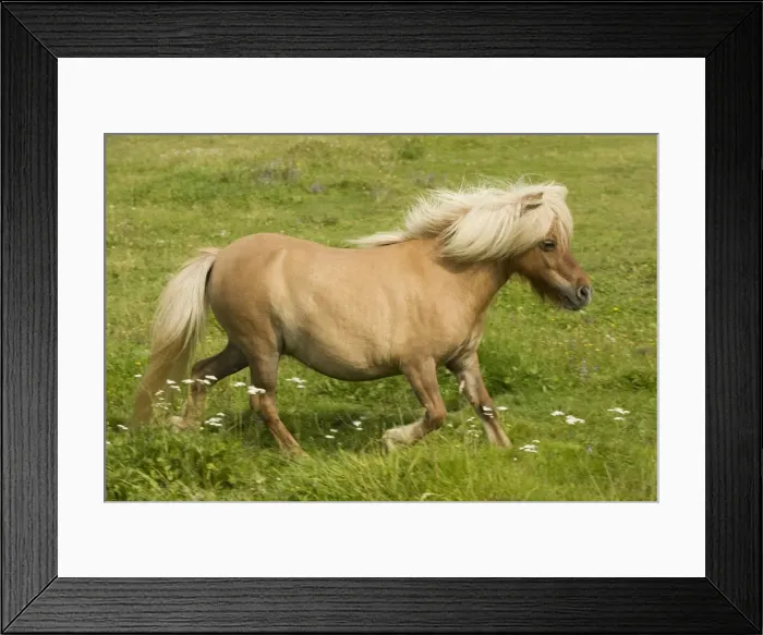 Framed Print : Picture No. 10771601 Framed Print : Picture No. 10771601