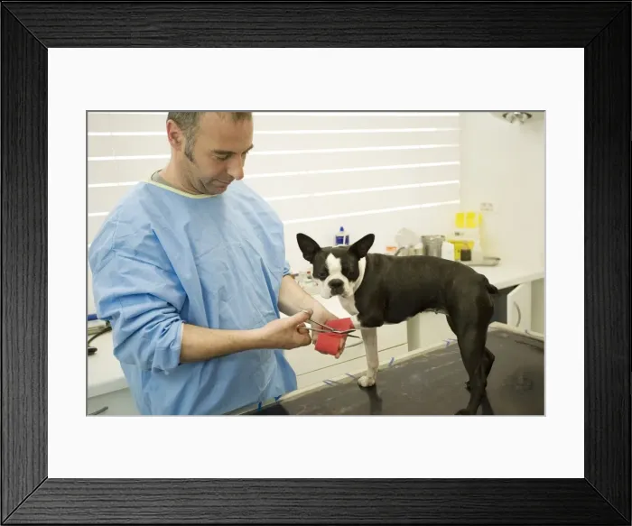 Framed Print : Picture No. 10771636 Framed Print : Picture No. 10771636