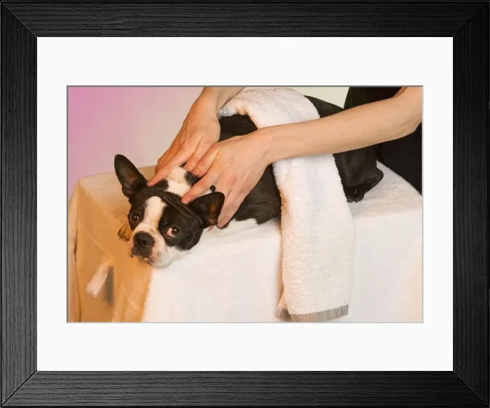 Framed Print : Picture No. 10771686 Framed Print : Picture No. 10771686