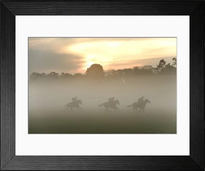 Framed Print : Picture No. 10771695 Framed Print : Picture No. 10771695