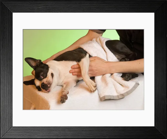 Framed Print : Picture No. 10771684 Framed Print : Picture No. 10771684