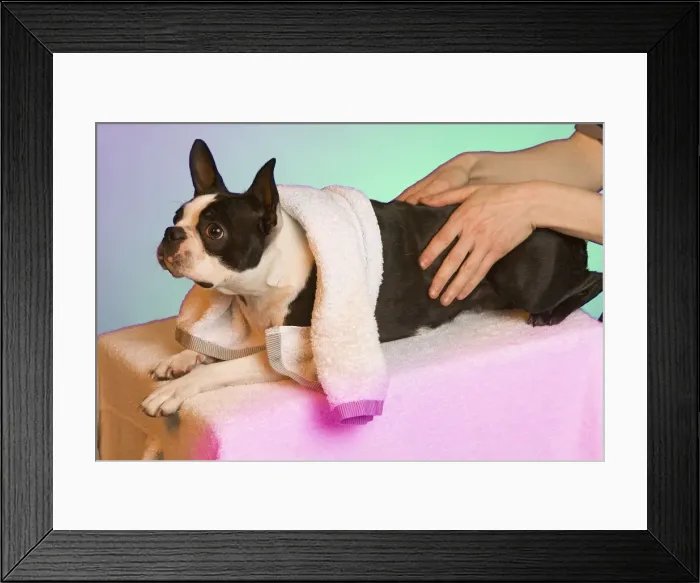 Framed Print : Picture No. 10771685 Framed Print : Picture No. 10771685