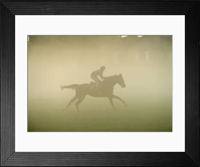Framed Print : Picture No. 10771698 Framed Print : Picture No. 10771698