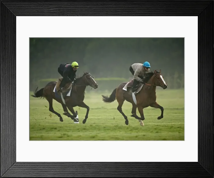 Framed Print : Picture No. 10771701 Framed Print : Picture No. 10771701