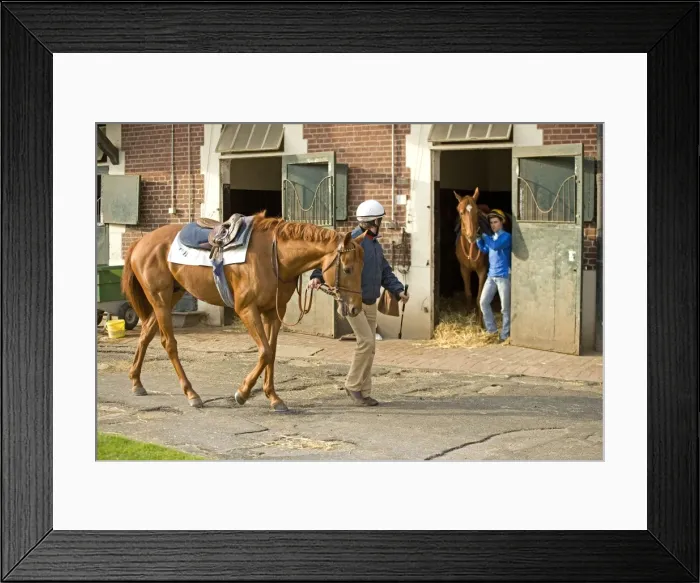 Framed Print : Picture No. 10771710 Framed Print : Picture No. 10771710
