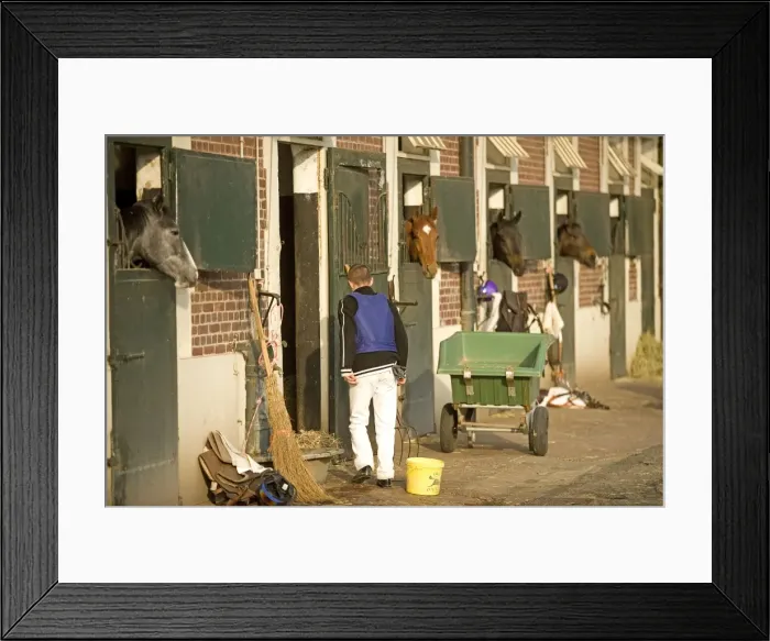 Framed Print : Picture No. 10771704 Framed Print : Picture No. 10771704