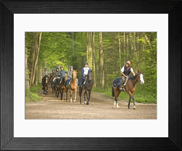 Framed Print : Picture No. 10771712