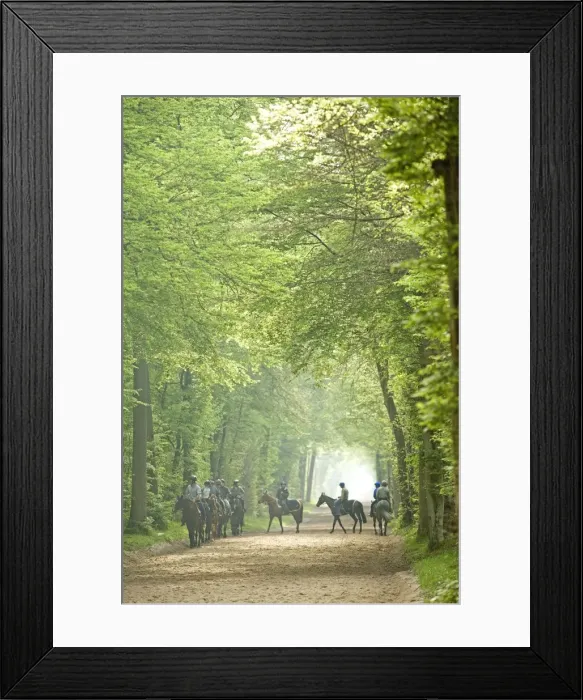 Framed Print : Picture No. 10771713 Framed Print : Picture No. 10771713