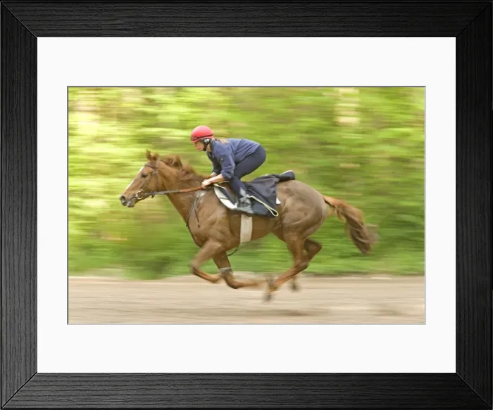 Framed Print : Picture No. 10771716