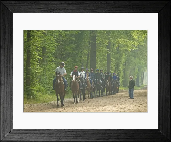 Framed Print : Picture No. 10771715 Framed Print : Picture No. 10771715