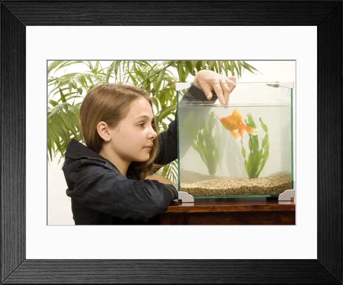 Framed Print : Picture No. 10771740 Framed Print : Picture No. 10771740