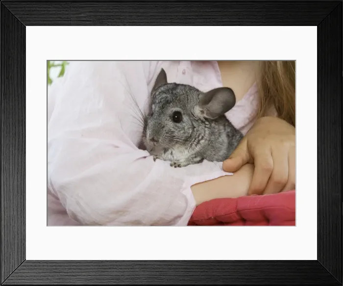 Framed Print : Picture No. 10771739 Framed Print : Picture No. 10771739