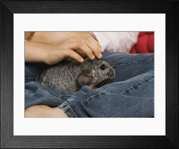 Framed Print : Picture No. 10771737 Framed Print : Picture No. 10771737