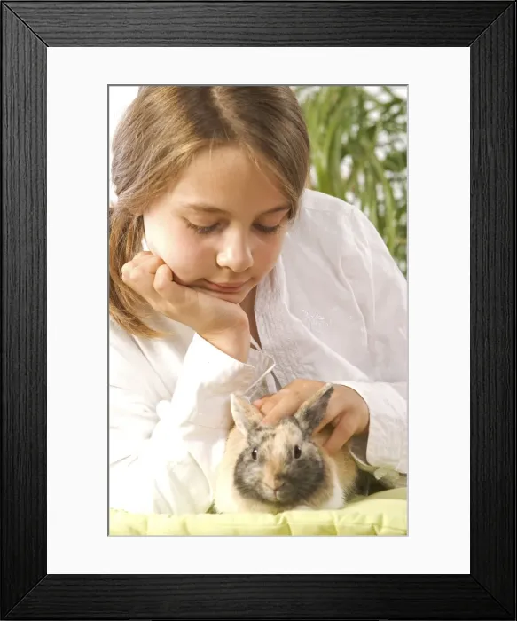 Framed Print : Picture No. 10771742 Framed Print : Picture No. 10771742