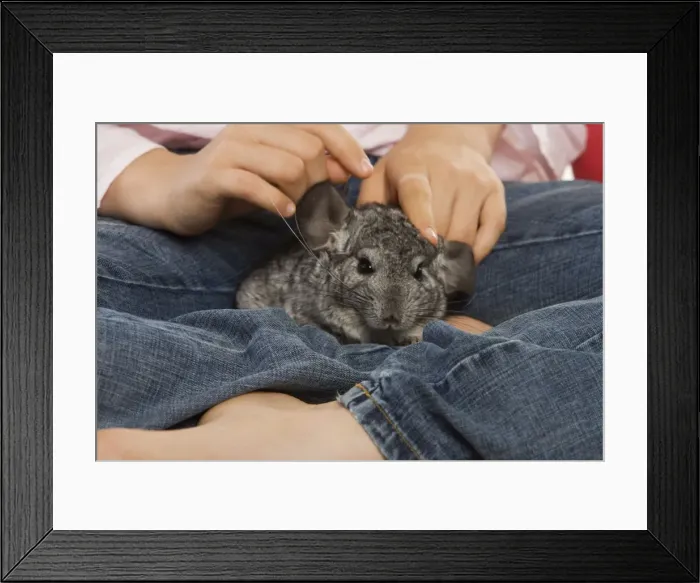 Framed Print : Picture No. 10771738 Framed Print : Picture No. 10771738