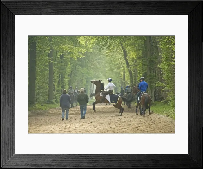 Framed Print : Picture No. 10771714 Framed Print : Picture No. 10771714