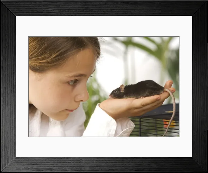 Framed Print : Picture No. 10771749 Framed Print : Picture No. 10771749