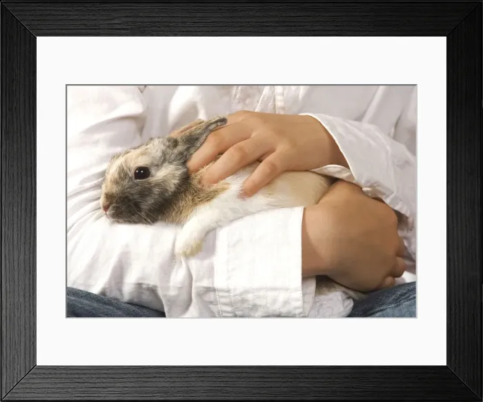 Framed Print : Picture No. 10771746 Framed Print : Picture No. 10771746