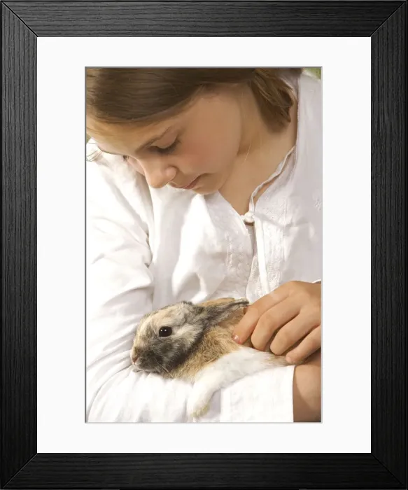 Framed Print : Picture No. 10771747 Framed Print : Picture No. 10771747