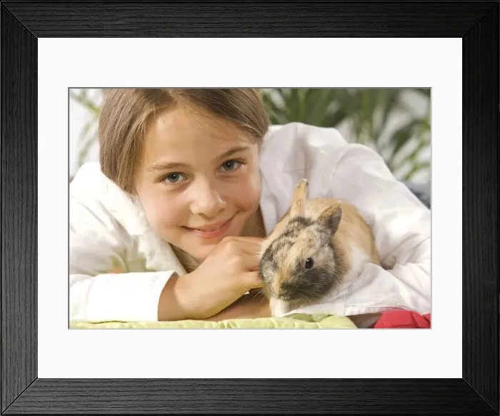 Framed Print : Picture No. 10771743 Framed Print : Picture No. 10771743