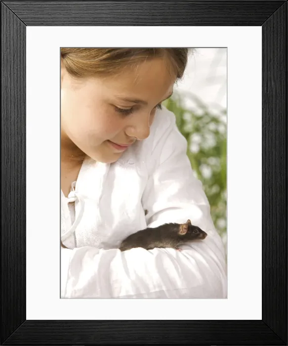 Framed Print : Picture No. 10771750 Framed Print : Picture No. 10771750