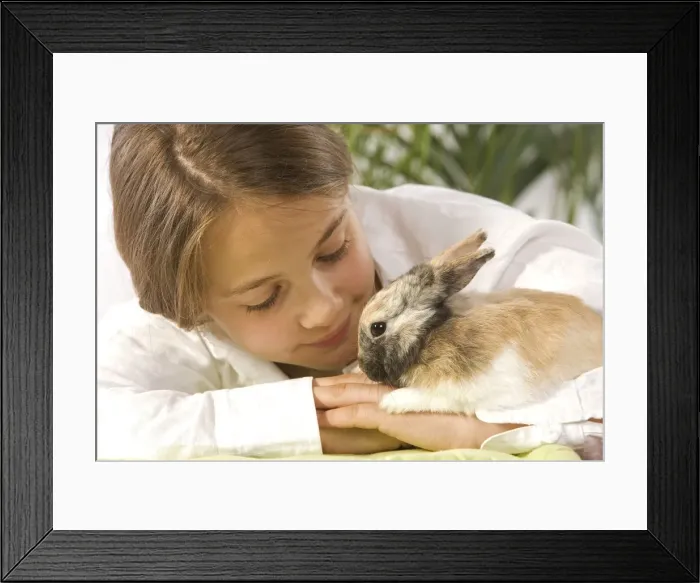 Framed Print : Picture No. 10771744 Framed Print : Picture No. 10771744