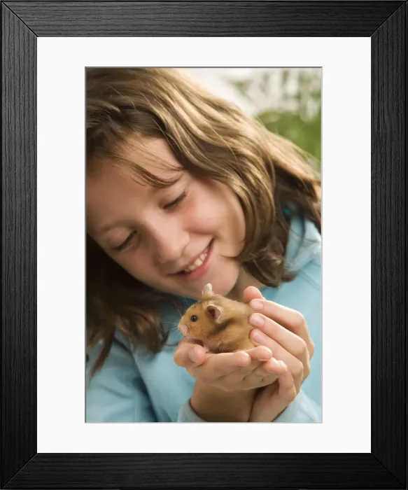 Framed Print : Picture No. 10771834