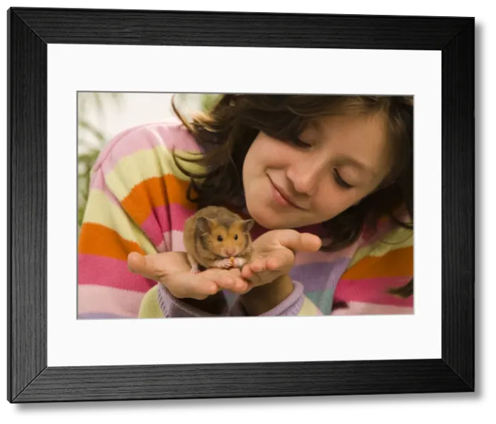 Framed Print : Picture No. 10771835 Framed Print : Picture No. 10771835