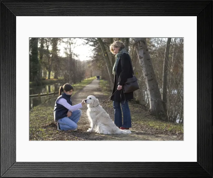 Framed Print : Picture No. 10771845 Framed Print : Picture No. 10771845