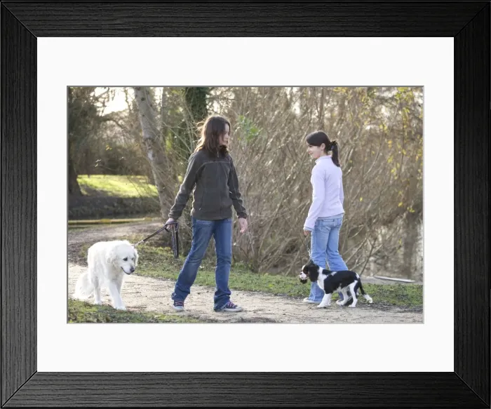 Framed Print : Picture No. 10771848 Framed Print : Picture No. 10771848