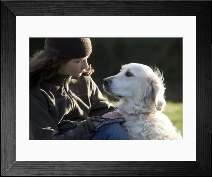 Framed Print : Picture No. 10771849 Framed Print : Picture No. 10771849