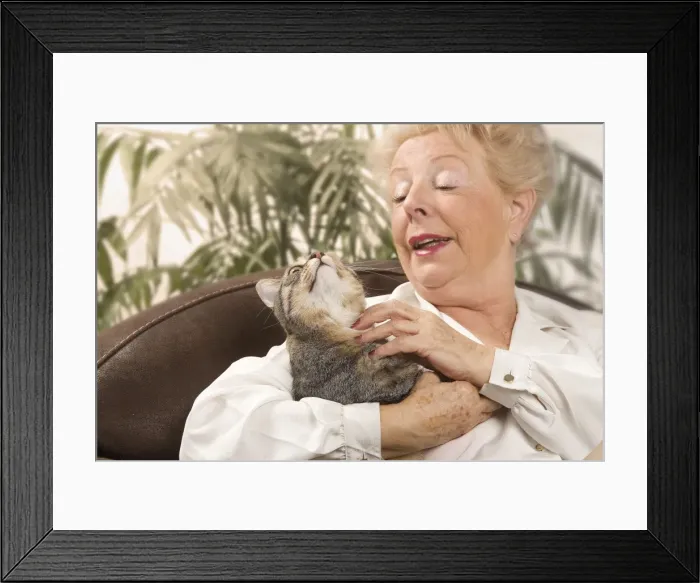 Framed Print : Picture No. 10771843 Framed Print : Picture No. 10771843