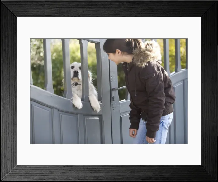 Framed Print : Picture No. 10771897 Framed Print : Picture No. 10771897
