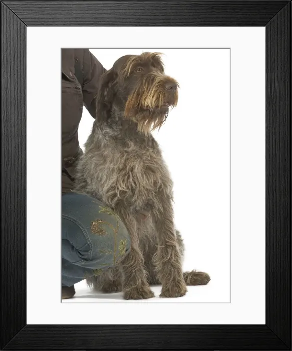 Framed Print : Picture No. 10771932 Framed Print : Picture No. 10771932
