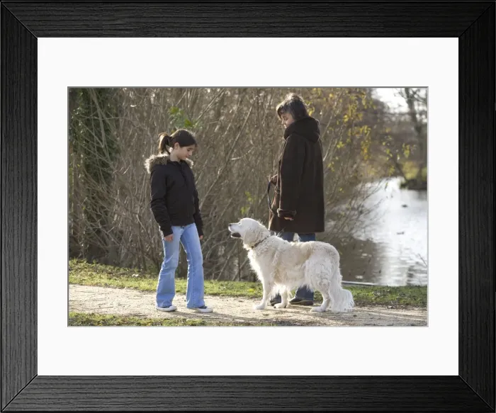 Framed Print : Picture No. 10771898 Framed Print : Picture No. 10771898