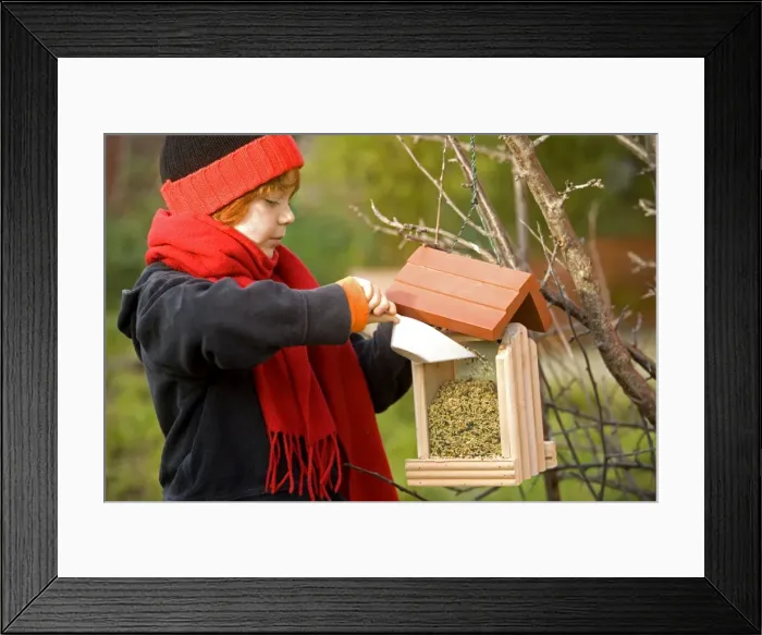 Framed Print : Picture No. 10771961 Framed Print : Picture No. 10771961
