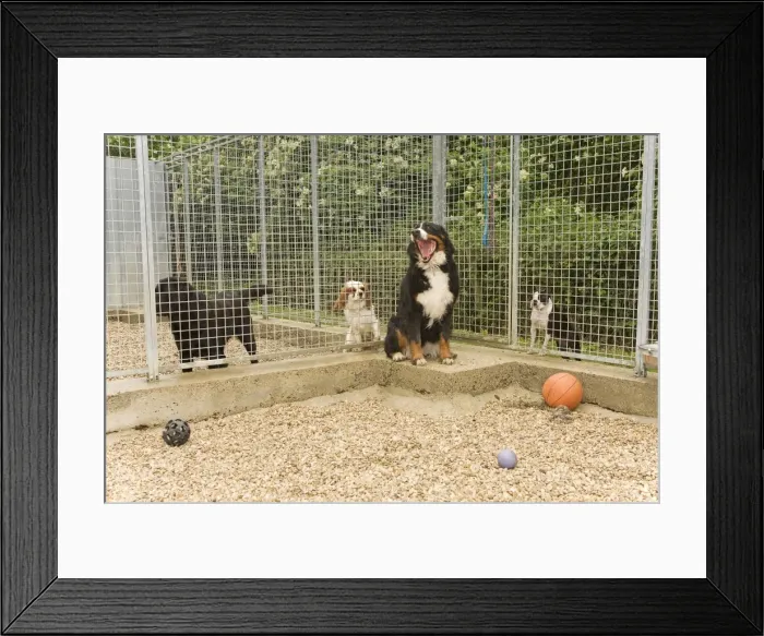 Framed Print : Picture No. 10772100 Framed Print : Picture No. 10772100