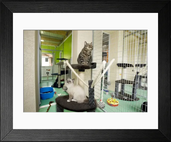 Framed Print : Picture No. 10772095 Framed Print : Picture No. 10772095