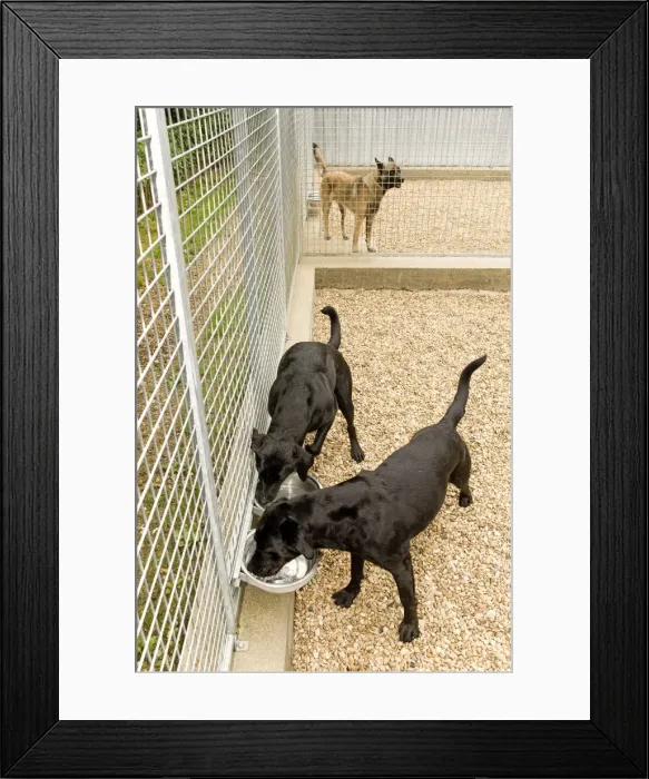 Framed Print : Picture No. 10772097 Framed Print : Picture No. 10772097