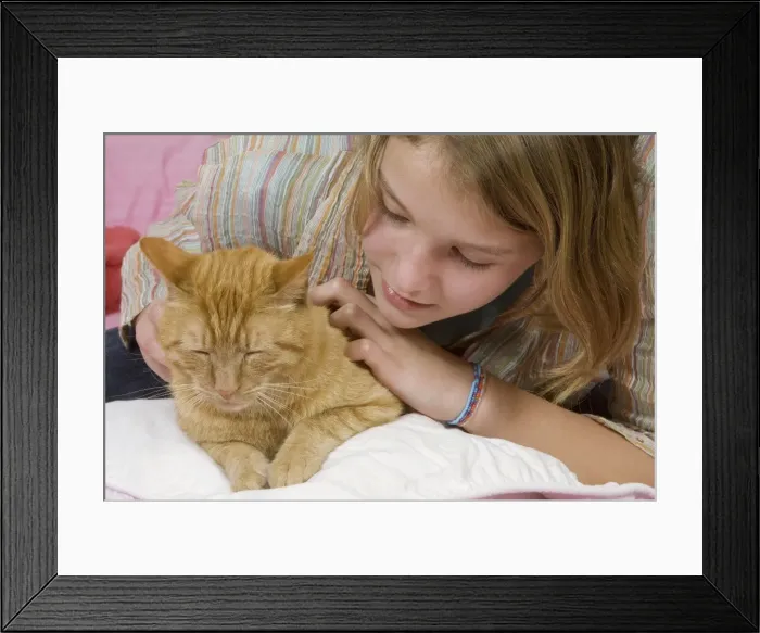 Framed Print : Picture No. 10772169 Framed Print : Picture No. 10772169
