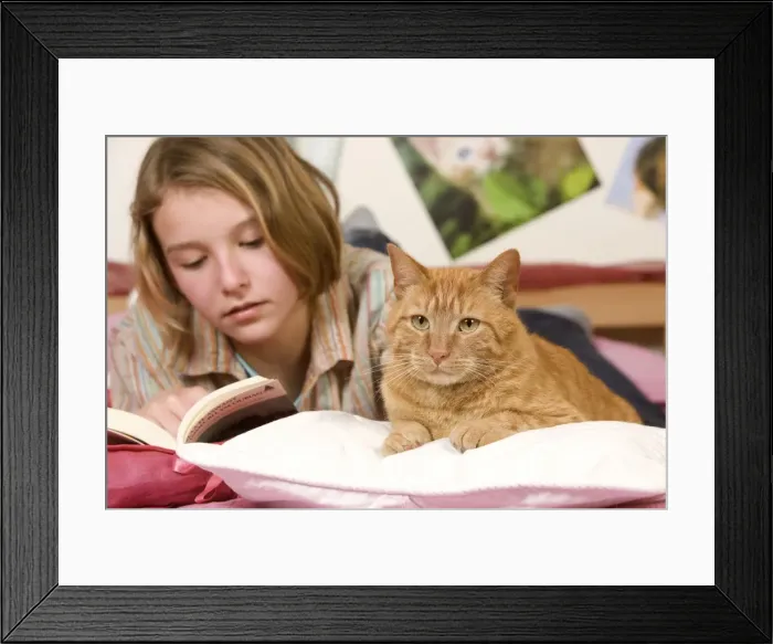 Framed Print : Picture No. 10772171 Framed Print : Picture No. 10772171