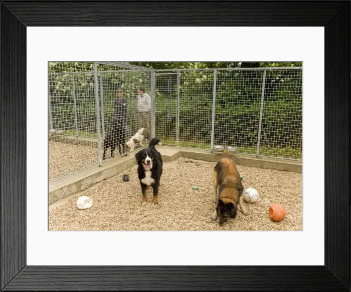 Framed Print : Picture No. 10772099 Framed Print : Picture No. 10772099